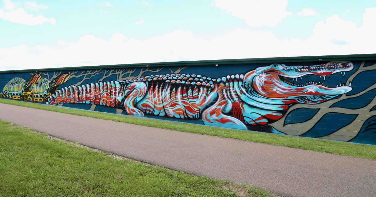 Art That Heals: How Local Creatives Spread Warmth Through Music, Murals, and Poetry